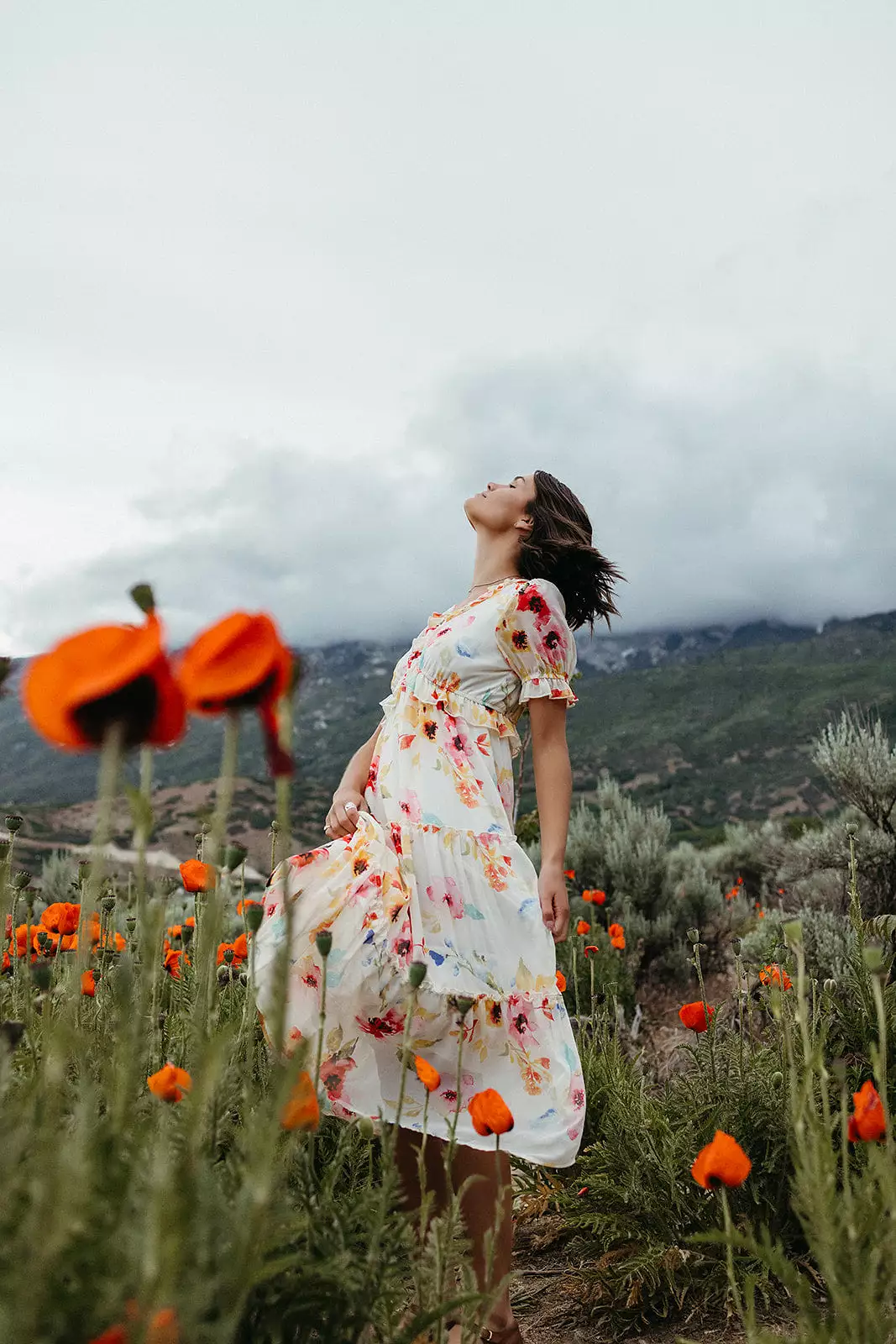 The Brom Floral Ruffle Dress in Ivory